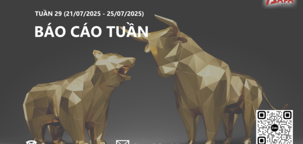 BÁO CÁO NHẬN ĐỊNH & CẬP NHẬT HIỆU SUẤT DANH MỤC CỔ PHIẾU TUẦN 29