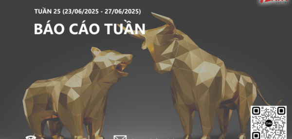 BÁO CÁO NHẬN ĐỊNH & CẬP NHẬT HIỆU SUẤT DANH MỤC CỔ PHIẾU TUẦN 25